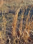 20221120_083531.jpg